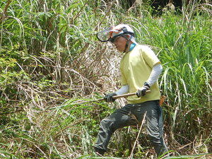 DSCN5389.JPG
