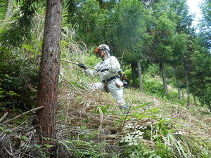 DSCN5393.JPG
