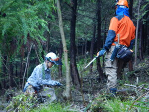DSCN5396.JPG