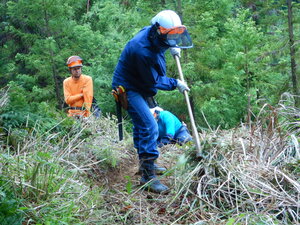 DSCN5398.JPG