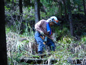DSCN5425.JPG