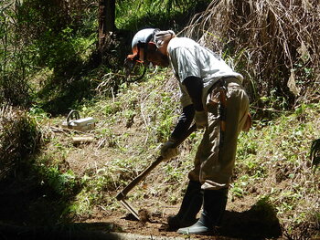 DSCN5439.JPG