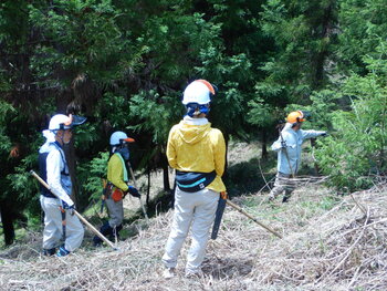 DSCN5465.JPG