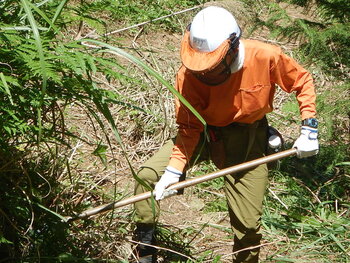 DSCN5466.JPG