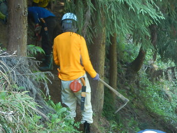 DSCN5490.JPG