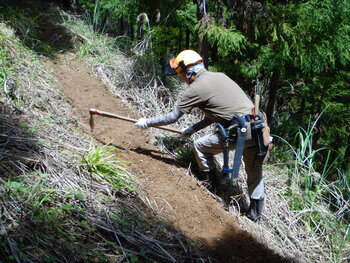 DSCN5523.JPG