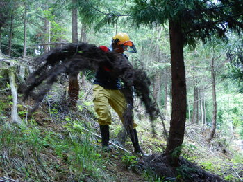 DSCN5597.JPG