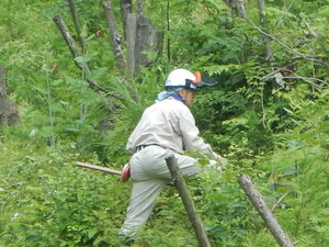 DSCN5670.JPG
