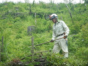 DSCN5674.JPG