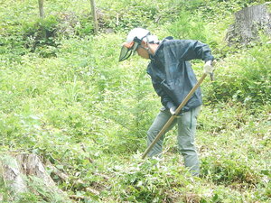 DSCN5690.JPG