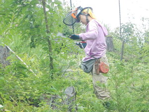 DSCN5697.JPG