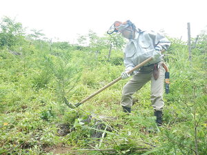 DSCN5704.JPG