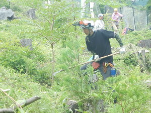 DSCN5708.JPG