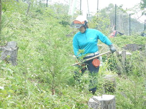 DSCN5714.JPG