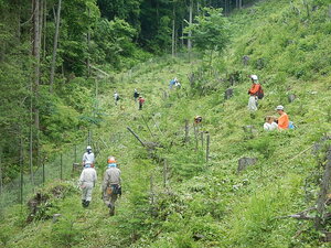 DSCN5719.JPG