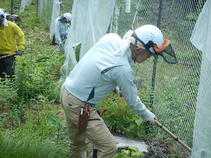 DSCN5937.JPG