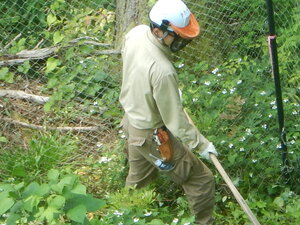 DSCN5949.JPG