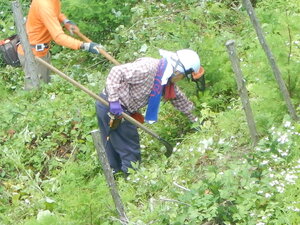DSCN5952.JPG