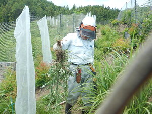 DSCN5956.JPG
