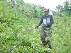 DSCN5964.JPG