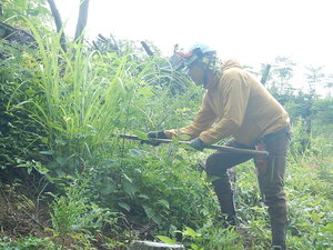 DSCN5971.JPG
