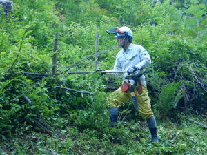 DSCN6070.JPG