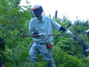 DSCN6075.JPG