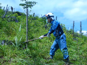 DSCN6104.JPG
