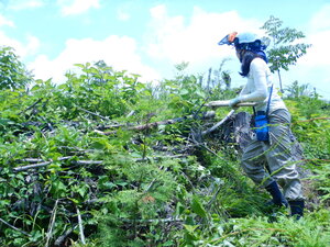 DSCN6297.JPG