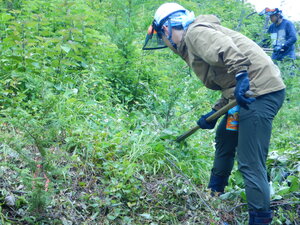 DSCN6304.JPG