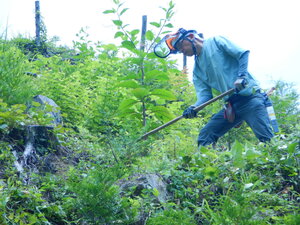 DSCN6310.JPG
