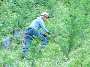 DSCN6311.JPG