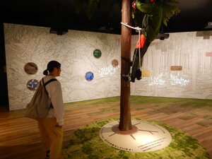 DSCN6652.JPG