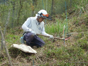 DSCN3450.JPG