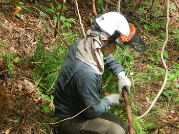 DSCN3939.JPG