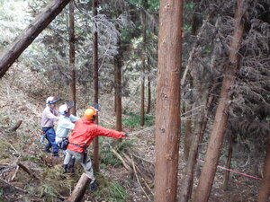 DSCN3163.JPG