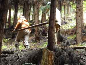 DSCN4002.JPG
