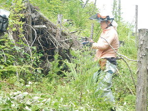 DSCN5727.JPG