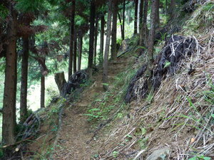 DSCN4755.JPG