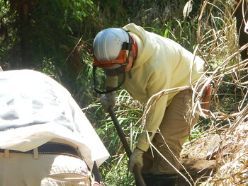 DSCN5458.JPG