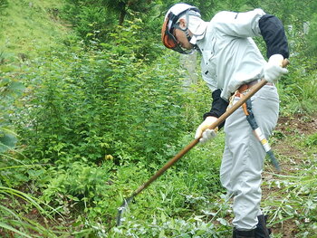 DSCN5806.JPG