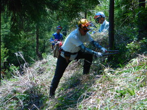DSCN4977.JPG