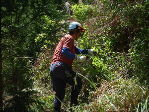 DSCN4385.JPG