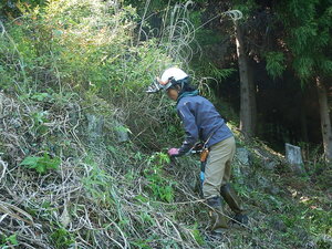 DSCN4438.JPG