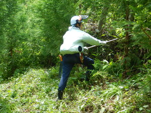 DSCN7357.JPG