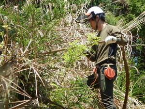 DSCN4917.JPG