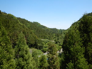 DSCN4270.JPG