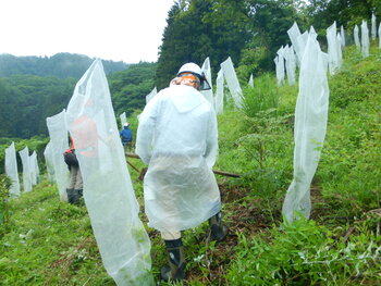 DSCN6797.JPG