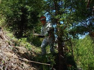 DSCN4393.JPG