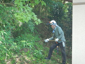 DSCN7319.JPG